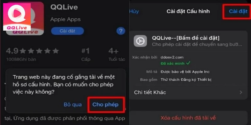 tai-app-qqlive-ket-noi-internet