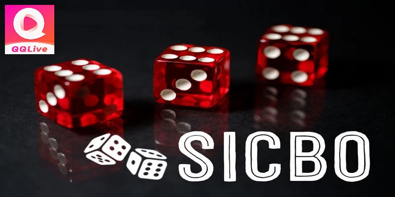 sicbo-qqlive-tro-choi-xuc-xac